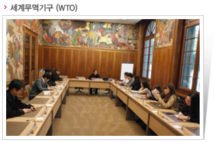 세계무역기구 (WTO)