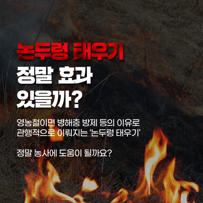 논두렁 태우기 정말 효과 있을까?