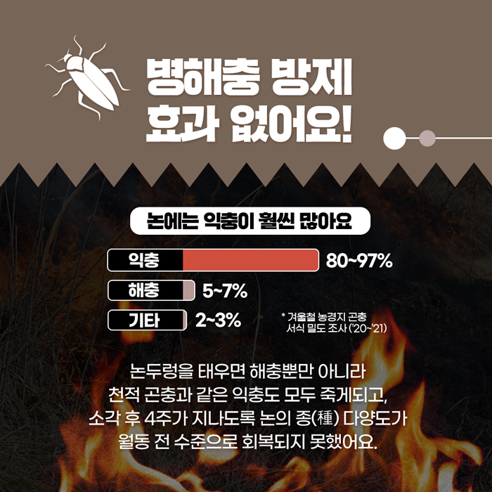 병해충 방제 효과 없어요. 논에는 익충이 훨씬 많아요.