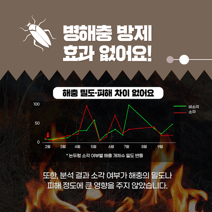 분석 결과 소각 여부가 해충의 밀토나 피해 정도에 큰 영향을 주지 않아요