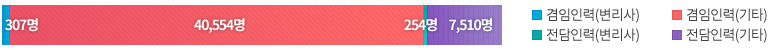 겸임 인력(변리사) 307명, 겸임인력(기타) 40,554명, 전담인력(변리사) 254명, 전담인력(기타) 307명