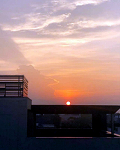 사니가 촬영한 원본 사진